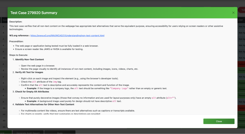 Example of a test case in the WCAG reporting tool